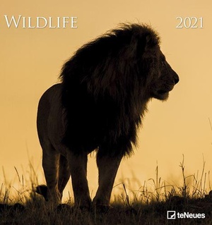 Wildlife - Dieren in het Wild Kalender 2021