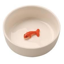 Fish pet bowl