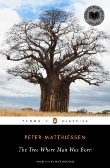 THE TREE WHERE MAN WAS BORN 
