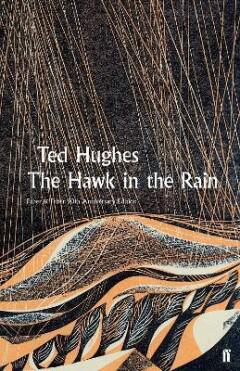 The hawk in the rain 