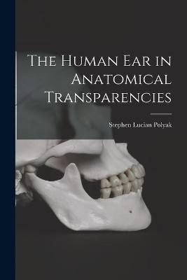 The Human Ear in Anatomical Transparencies
