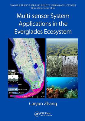 Multi-sensor System Applications in the Everglades Ecosystem