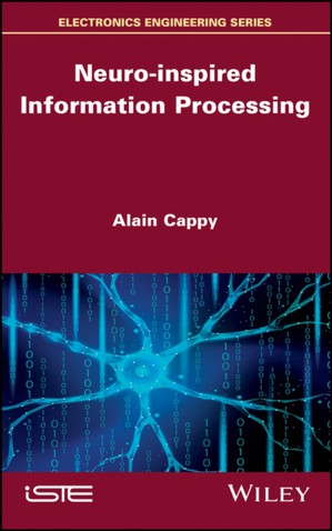 Neuro–inspired Information Processing