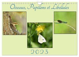 Oiseaux, Papillons et Libellules (Calendrier mural 2025 DIN A4 vertical), CALVENDO calendrier mensuel