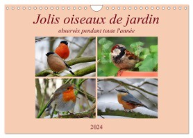 Jolis oiseaux de jardin (Calendrier mural 2024 DIN A4 vertical), CALVENDO calendrier mensuel