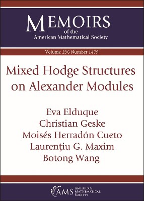 Mixed Hodge Structures on Alexander Modules