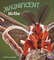 Magnificent Moths (Bugs are Beautiful!)
