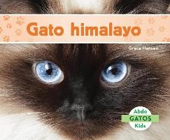 Gato Himalayo / Himalayan Cats