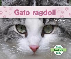 Gato Ragdoll/ Ragdoll Cats