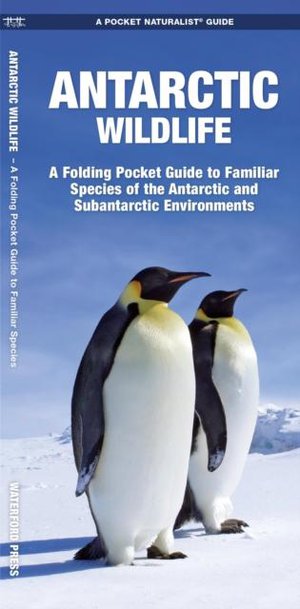 Antarctic Wildlife 