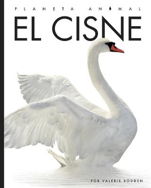 El Cisne