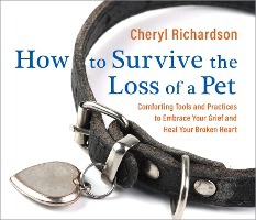 How to Survive the Loss of a Pet
