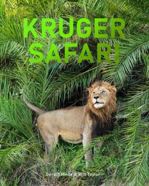 Kruger safari 