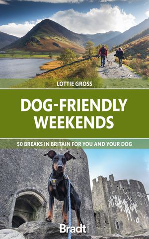 Dog-Friendly weekends 1  