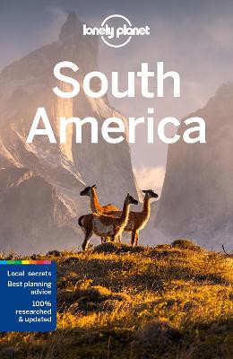 Lonely Planet New York City 13 (Travel Guide): Healy, Brian, Chang, Rachel,  Garry, John, Givens, Dana, Grosberg, Michael, Minford, Teddy, Stanton,  Maya, Thiruvengadam, Meena, Trefler, Caroline: 9781838691707: :  Books