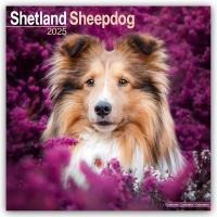 Shetland Sheepdog Calendar 2025 Square Dog Breed Wall Calendar - 16 Month