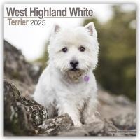 West Highland White Terrier Calendar 2025 Square Dog Breed Wall Calendar - 16 Month