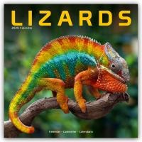 Lizards - Eidechsen 2025 - 16-Monatskalender