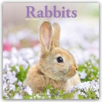 Rabbits  Calendar 2025 Square Animal Wall Calendar - 16 Month