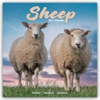 Sheep Calendar 2025 Square Farm Animal Wall Calendar - 16 Month