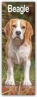 Beagle Slim 2025 Wall Calendar Calendar 2024 Dog Breed Slimline Calendar - 12 Month