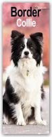 Border Collie Slim Calendar 2025 Dog Breed Slimline Calendar - 12 Month
