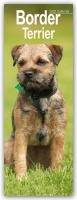 Border Terrier Slim Calendar 2025 Dog Breed Slimline Calendar - 12 Month