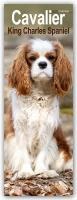Cavalier King Charles Slim Calendar 2025 Dog Breed Slimline Calendar - 12 Month