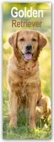Golden Retriever Slim Calendar 2025 Dog Breed Slimline Calendar - 12 Month