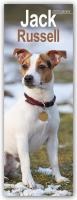 Jack Russell Slim Calendar 2025 Dog Breed Slimline Calendar - 12 Month