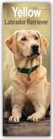 Yellow Labrador Retriever Slim Calendar 2025 Dog Breed Slimline Calendar - 12 Month