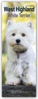 West Highland Terrier Slim Calendar 2025 Dog Breed Slimline Calendar - 12 Month