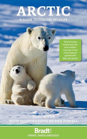 Arctic Bradt Coastal Wildlife  5 