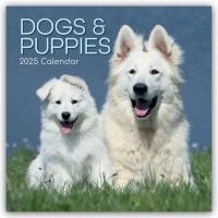 Dogs and Puppies - Hunde und Welpen 2025 - 12-Monatskalender