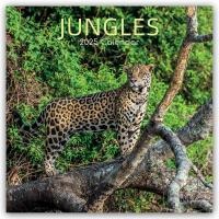 Jungles - Dschungel 2025 - 16-Monatskalender