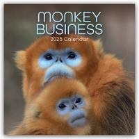 Monkey Business 2025 - 16-Monatskalender