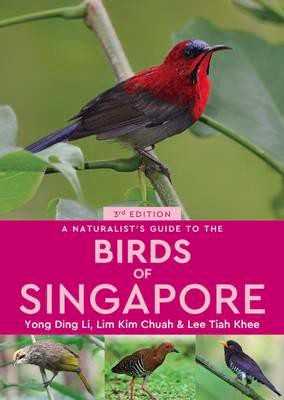 Singapore birds 