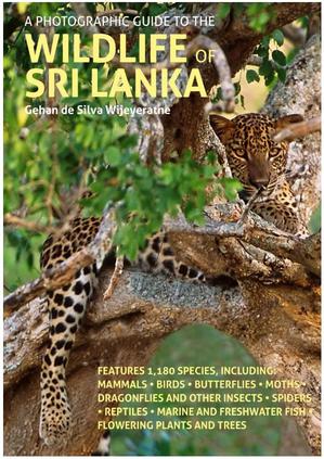 Wildlife of Sri Lanka - photographic guide (09/24) 