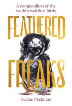 Feathered freaks 