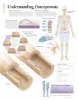 Understanding Osteoporosis Laminated Poster