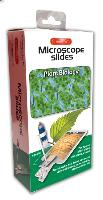 Microscope Slides: Plant Biology Slides (Set of 7)