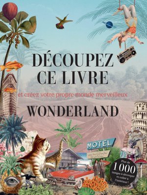 Decoupez Ce Livre : Wonderland ; Et Creez Votre Propre Monde Merveilleux 