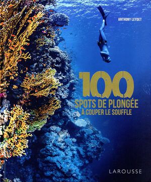 100 Spots De Plongee A Couper Le Souffle 
