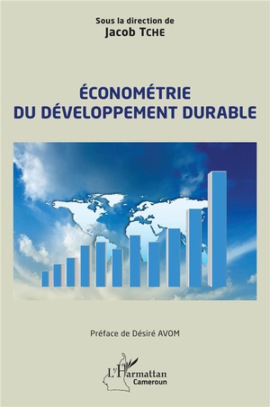 Econometrie Du Developpement Durable 