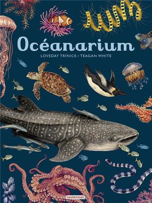 Oceanarium 