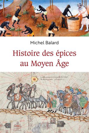 Histoire Des Epices Au Moyen Age 