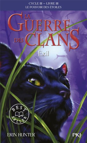 La Guerre Des Clans - Cycle 3 ; Le Pouvoir Des Etoiles Tome 3 : Exil 