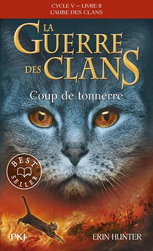 La Guerre Des Clans - Cycle 5 ; L'aube Des Clans Tome 2 : Coup De Tonnerre 