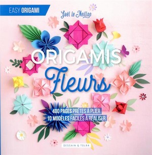 Origamis Fleurs 