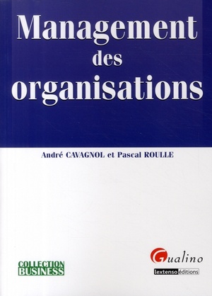 Management Des Organisations 